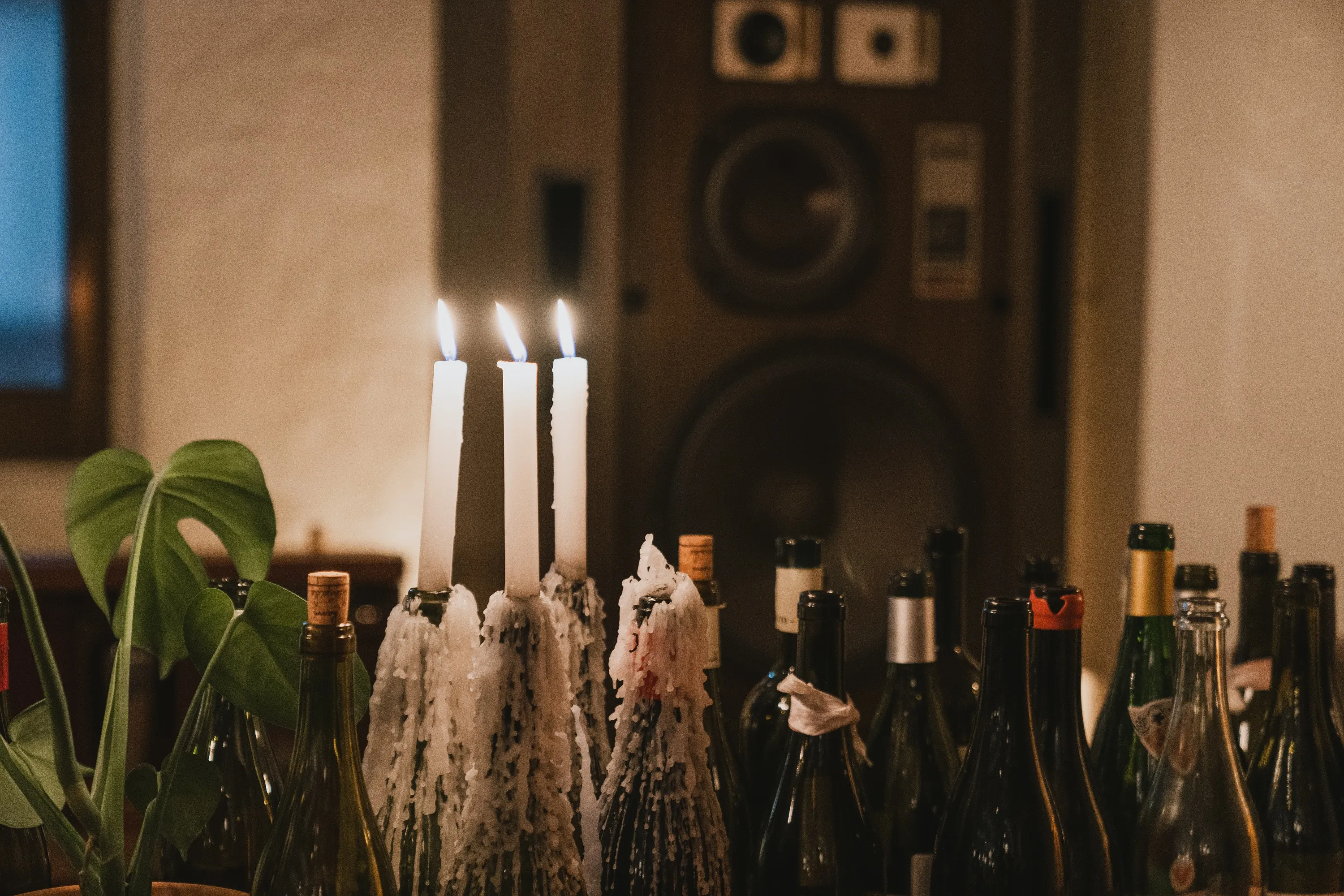 Nue Pasta Haus, pasta and wine bar in Chungmuro, Seoul, photo 22