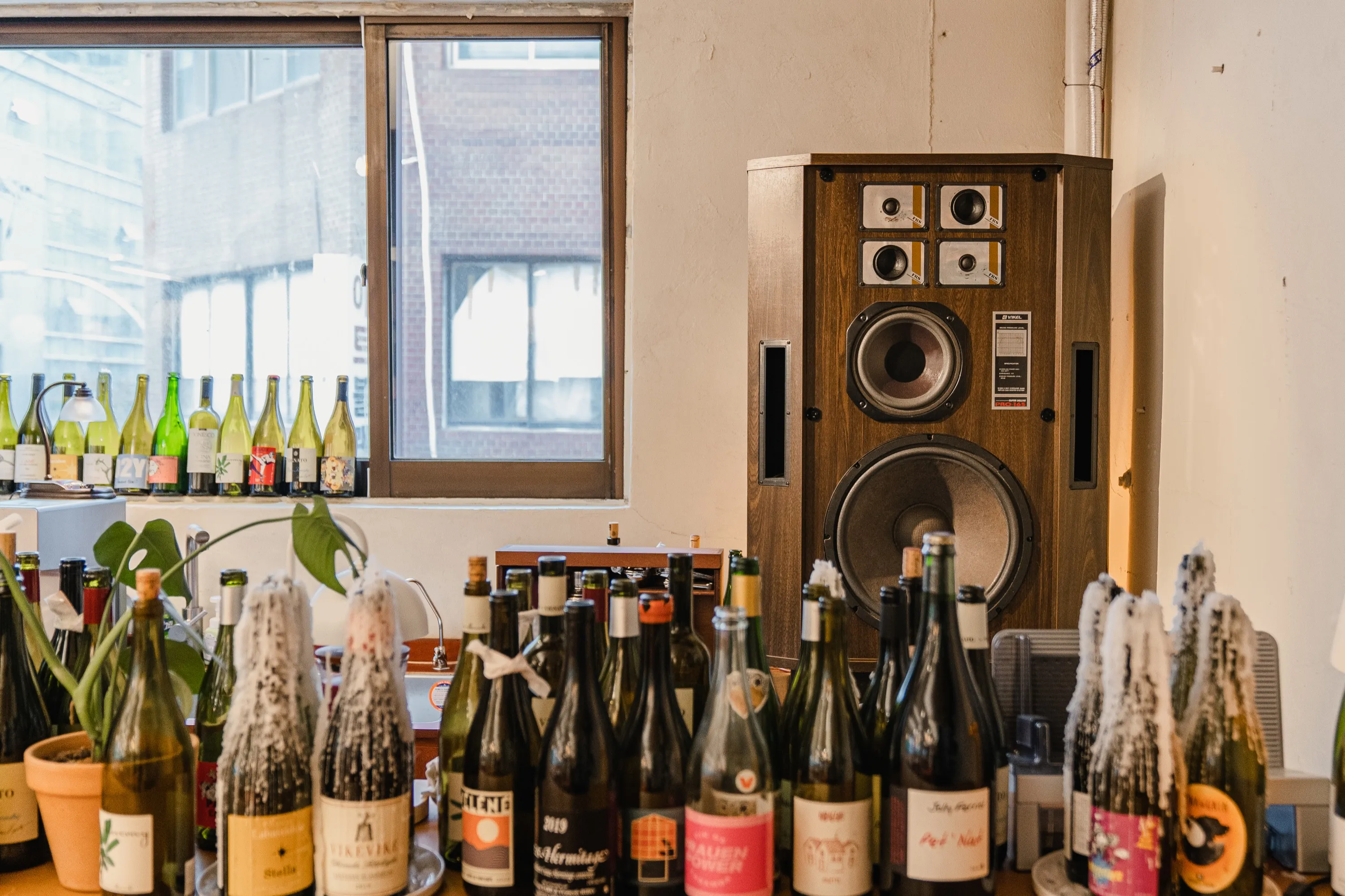 Nue Pasta Haus, pasta and wine bar in Chungmuro, Seoul, photo 16