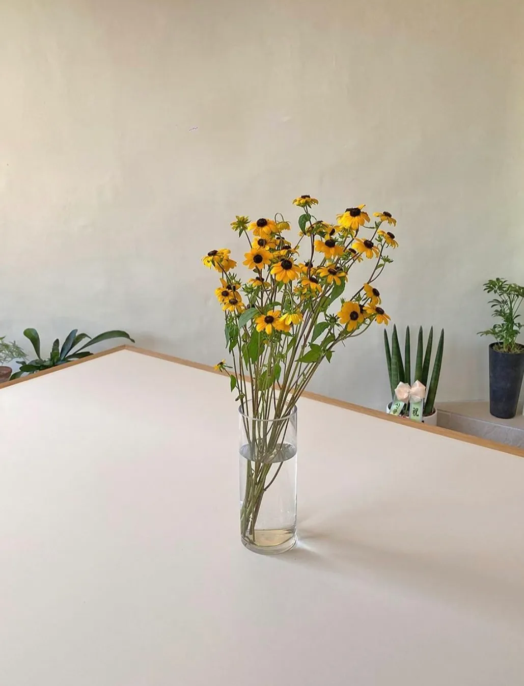 My Own Garden, cafe in Seonyudo, Seoul, photo 18